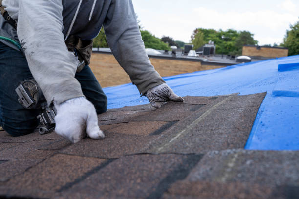 Best Shingle Roofing Installation  in Baudette, MN