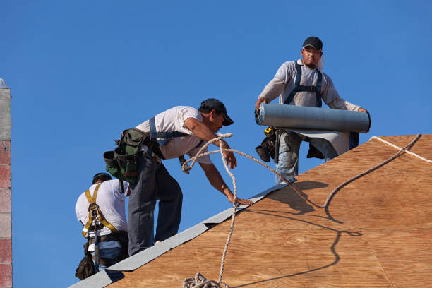 Best Storm Damage Roof Repair  in Baudette, MN