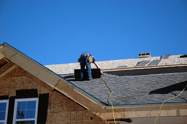 Best Roof Leak Repair  in Baudette, MN