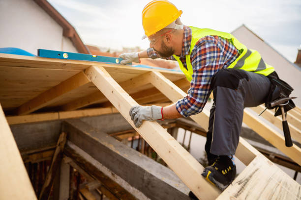 Best Roof Gutter Cleaning  in Baudette, MN