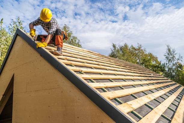 Best Emergency Roof Repair  in Baudette, MN