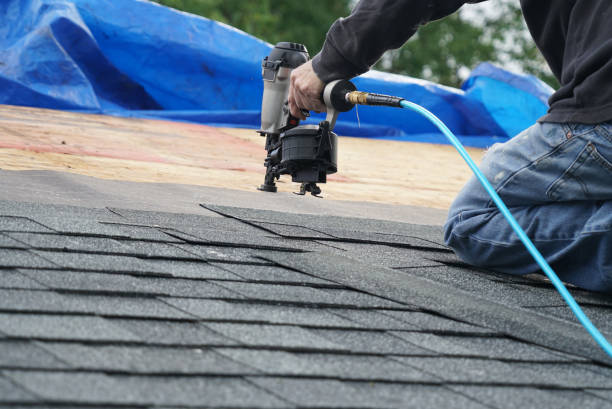 Best New Roof Installation  in Baudette, MN