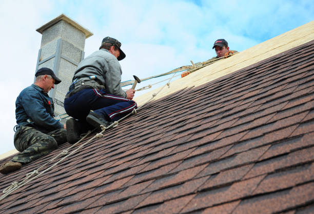 Tile Roofing Contractor in Baudette, MN