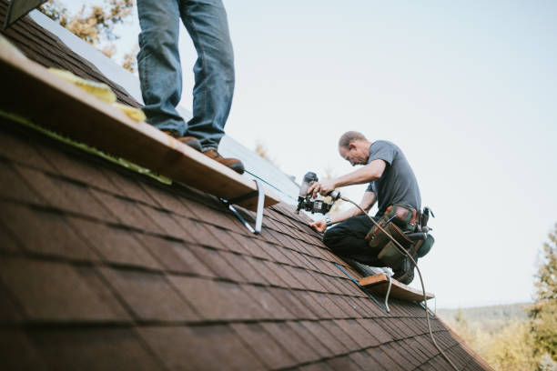 Best Flat Roof Repair Services  in Baudette, MN