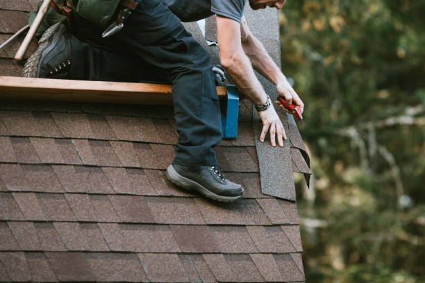 Best New Roof Installation  in Baudette, MN
