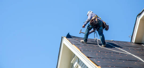 Best Flat Roof Repair Services  in Baudette, MN